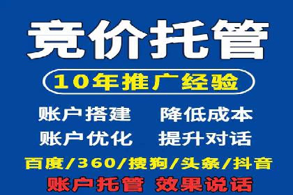 某品牌SEM广告策略揭秘——代运营公司的智慧